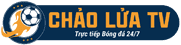 bóng đá nam định